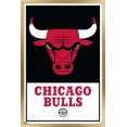 thumbnail image 1 of NBA Chicago Bulls - Logo 21 Wall Poster, 22.375" x 34" Framed, 1 of 4