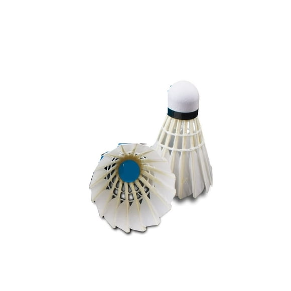 LEEYNEER Volants de Badminton, Lot de 6, Volants d'Oiseaux de Sport, 6 Pcs, pour Activités Sportives Extérieures et Intérieures