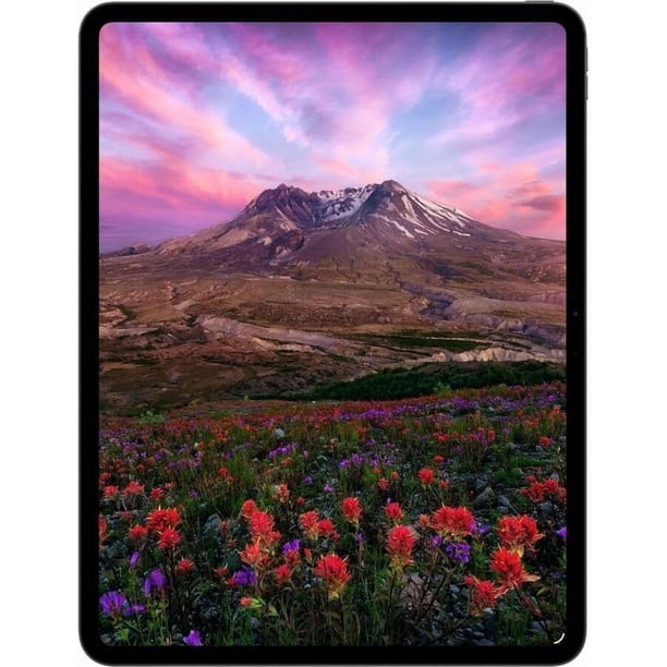 Apple - 11-inch iPad Pro M5 chip Wi-Fi + Cellular 256GB with OLED