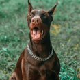 thumbnail image 4 of GHSDFBB Silver Dog Chain Collar Stainless Steel Silver Dog Collar Adjustable Walking, Metal Cuban Link Dog Collar Chew Proof Double Row Chain Dog Collar for Large Small Medium Dogs, 4 of 7