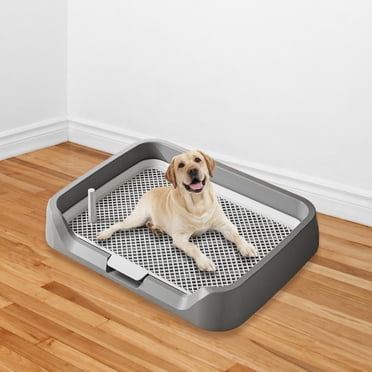 Runquan Indoor Dog Potty Tray Indoor Dogs Potty Train Pads for Small and Medium Dogs blue
