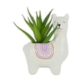 thumbnail image 1 of Anko Llama Artificial Succulent, 1 of 6
