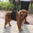 thumbnail image 2 of Dog Lifting Harness, Dog Support Harness, Black Dog Lift And Assist Easy To Use For Canines Aid Pets For Dogs Animals, 2 of 8