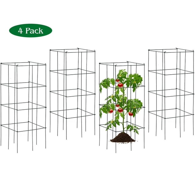 Gymax Lot de 4 Cages à Tomates, Treillis Rond en Fer de 39 Pouces avec Cadre stable et Fini Vert Foncé. Conçu pour Soutenir les Plantes Grimpantes comme les Tomates, les Haricots, les Grappes, les Poivrons et les roses, Ces Cages Encouragent la Croissance Verticale et Empêchent les Tiges de Se Pencher. une cage Est Montrée pour Soutenir une Plante de Tomate avec des Tomates Rouges Mûres, les Trois Autres Sont Vides et Exposées en Ligne, Idéal pour le Jardin.