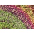 thumbnail image 1 of Ahgly Tapis Rectangulaire Lavable en Machine Vert Transitionnel, 5 Pieds x 7 Pieds, 1 of 7