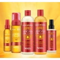 thumbnail image 3 of Argan Sulfate-Free Moisture & Shine Shampoo, 3 of 3