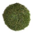 thumbnail image 1 of Vickerman FO182602 7.25 in. Green Grass Ball Ornament, 1 of 2