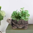 thumbnail image 3 of Pot de Jardinière Animal Collection d'Art pour Cour Étagère Tortue, 3 of 8