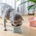 thumbnail image 4 of PET Cat Dog Protects Cervical Vertebravels High Feeding Bowl, 4 of 6