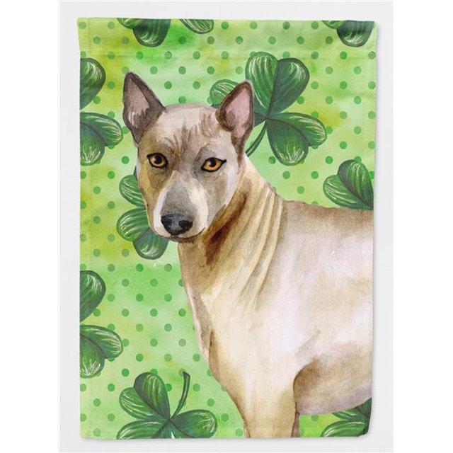 Carolines Treasures BB9854CHF Thai Ridgeback Saint Patricks Drapeau Toile - Taille de la Maison