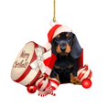 thumbnail image 2 of Cute Animal Pendant Decoration Acrylic Pendant Pendant For Car Window Sill, 2 of 3