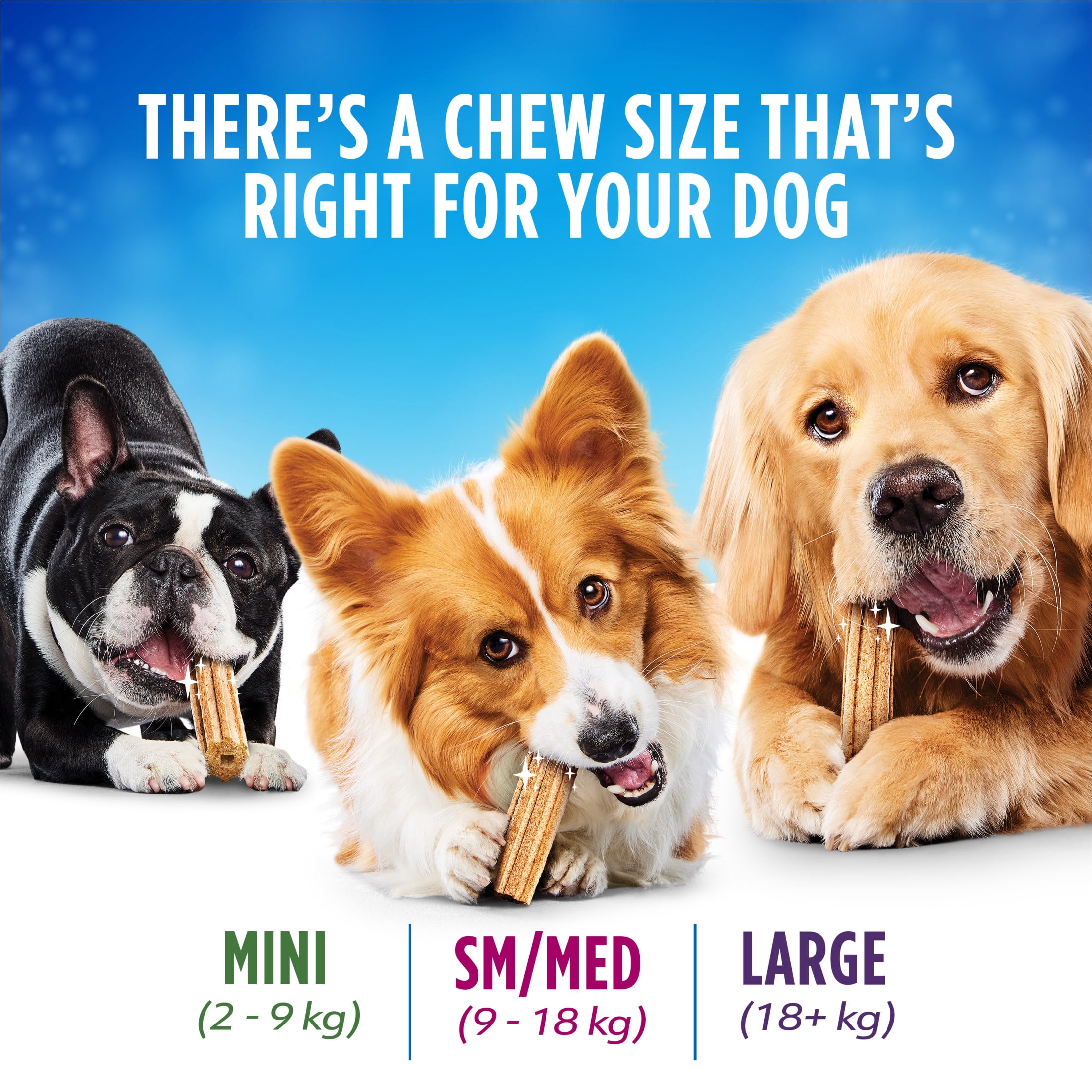 DentaLife Gâteries pour Chiens les Soins Buccodentaires Quotidiens Mini Races