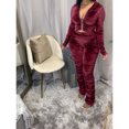 thumbnail image 1 of Honganda Slim Pleated Zipper Hooded Top and Pants Two-piece Suit, 1 of 6