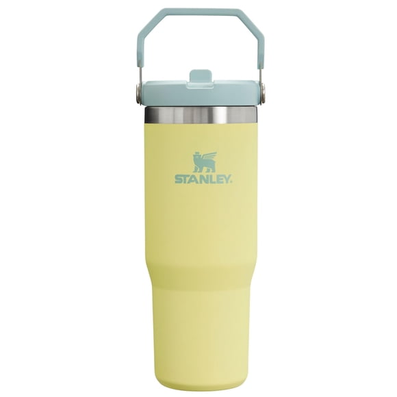Stanley IceFlow Stainless Steel Tumbler - Vacuum Insulated Water Bottle for Home, Office or Car Reusable Cup with Straw Leak Resi