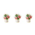 thumbnail image 2 of kurtrusly Artificial Flowers With Vase Add Of Color And Style To Any Room Indoor rose powder 3Set, 2 of 6