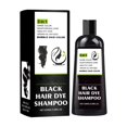 thumbnail image 1 of Hair Conditioner Quick and Easy to Color Hair Long Lasting Hair Dye Shampoo 100ml, 1 of 8