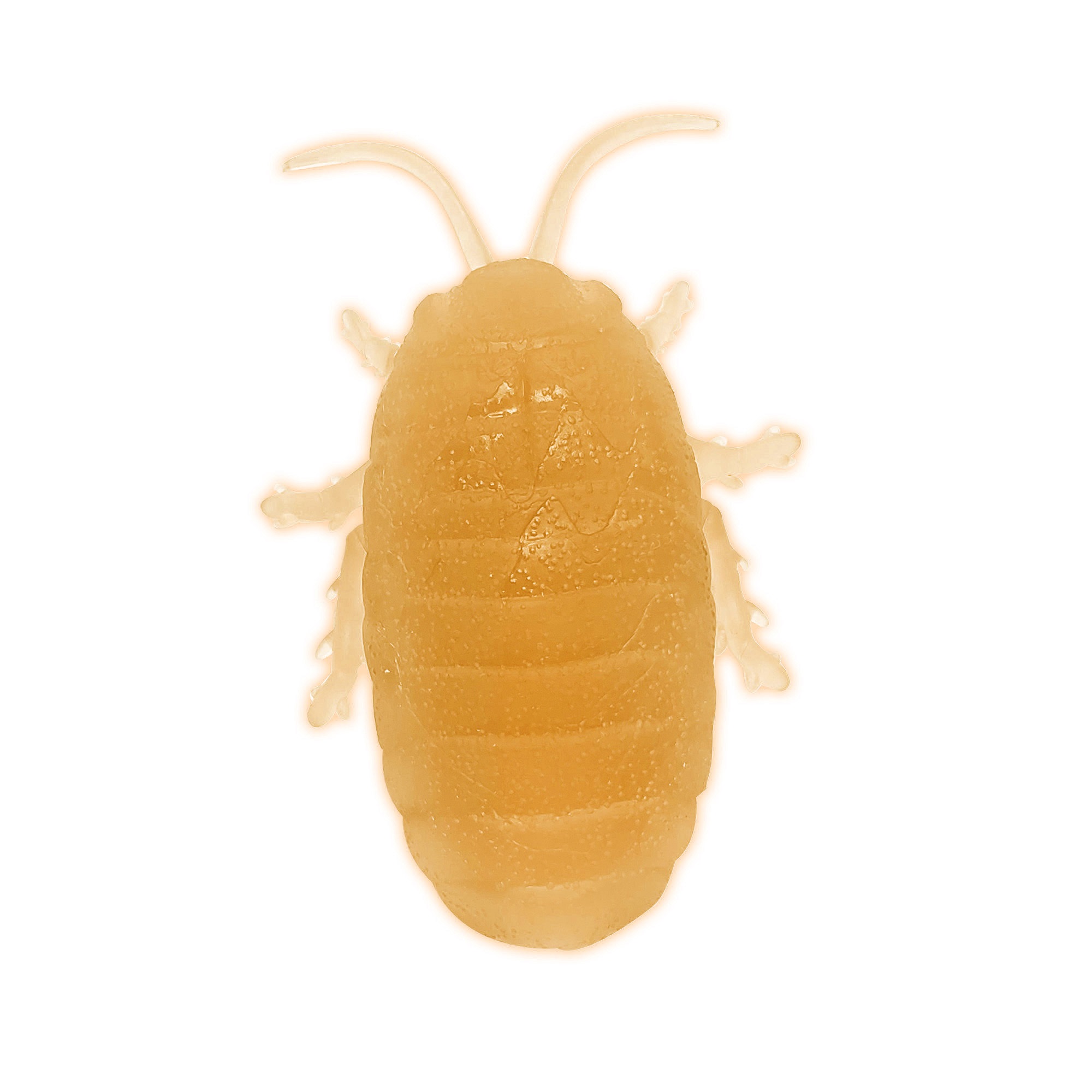 Halloween Party Glow Cockroach, 1 Piece, Orange, 3 inch