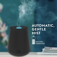 thumbnail image 2 of Air Wick Essential Mist Recharge pour Diffuseur d'Huile Parfumée, Lavande, Assainisseur d'Air, 2 of 5