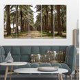 thumbnail image 1 of Date Palm Plantation Photography - Modern Forest Canvas Art, 1 of 1