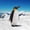 F, variant on EGNMCR Models Realistic Large Dinosaur Statues Jungle Toys Penguin figure Birthday Gifts for Kids