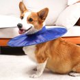 thumbnail image 3 of CBFFDC Lightweight Pet Collar Protective Pet Recovery Collar Comfortable Water Resistant Quick Drying High Elastic Neckline Pet Supply, 3 of 6