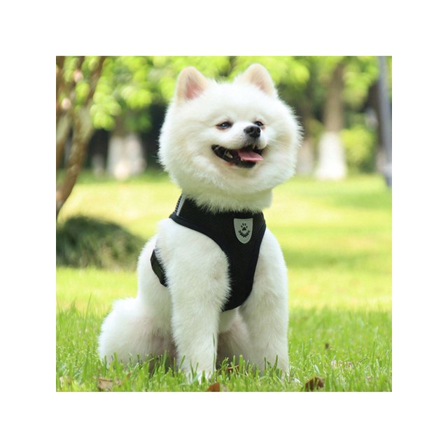 1PC Cat Harness Vest Walking Lead Leash For Puppy Dogs Collar Polyester Adjustable Mesh Dog Harness For Small Medium Pet collar & leash set