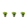 thumbnail image 3 of Redempat Plastic Easy To Clean Artificial Succulent Realistic Appearance Long-lasting Durability Eco-friendly newyellowbabysbreath 3Set, 3 of 6