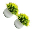 thumbnail image 1 of Xingzhi 2pcs/set Pot Bonsai Ornament Home Decor Companion Faux Grasses For Decor Potted Simulation yellow 1Set, 1 of 6