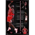 thumbnail image 1 of Michael Jordan - Timeline Wall Poster, 22.375" x 34" Framed, 1 of 4