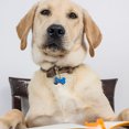 thumbnail image 2 of Vaidha Personalized Stainless Steel Pet Silent Label, Shaped Label,Suitable For Pet Lovers, 2 of 3