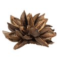 thumbnail image 1 of Vickerman H2STAX000 12-16 in. Natural Star Pods - 2XL, 1 of 1