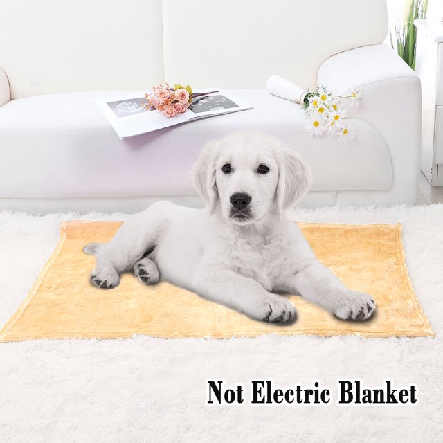 PiccoCasa 1 Pcs Home Warm Soft Microplush Fleece Solid Throw Blanket Wheat 27" x 40"