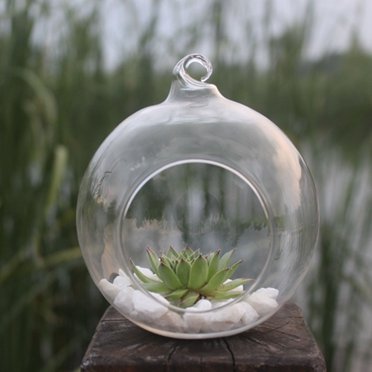 Glass Hanging Planter, Succulents Globe Shape Flower Pots, Hanging Terrarium Globe, Plant Glass Terrarium, Air Planter Terrarium Vase, Micro Landscape DIY for Home