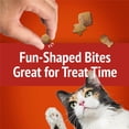 thumbnail image 2 of Friskies Party Mix Gravy-licious Crunch, Cat Treats 454g, 2 of 9