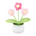 thumbnail image 1 of Bgsha Handwoven Wool Crochet Puff Flower Pot: A Timeless,Low-maintenance Home Decor!, 1 of 10