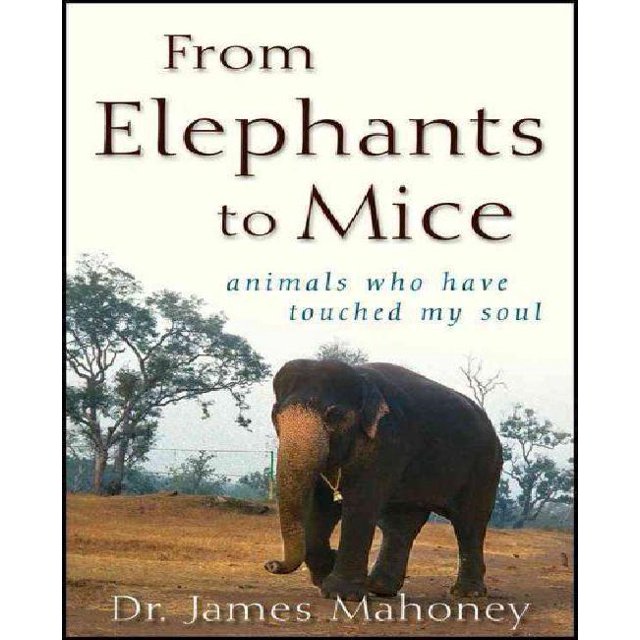 D'Éléphants à Souris: Animaux Qui Ont Touché Mon Me