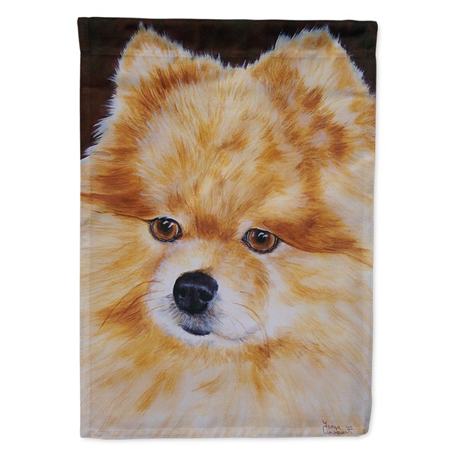 Carolines Treasures AMB1049CHF Pomeranian Flag Canvas House Size