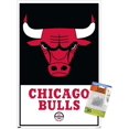 thumbnail image 1 of NBA Chicago Bulls - Logo 21 Wall Poster with Push Pins, 1 of 5