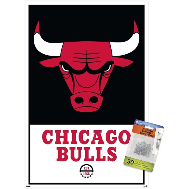 NBA Chicago Bulls - Logo 21 Wall Poster with Push Pins