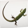 thumbnail image 3 of Reptile Carpet Reptile Substrate Pad Reptile Terrarium Bearded Dragon Tank Accessories, 3 of 8