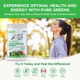 thumbnail image 3 of Active Green Pro® - Daily Greens Boost - Unflavoured - Energy Boost - Daily Detox - 400 g, 3 of 6