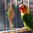 thumbnail image 3 of Palm Leaf Toy, Bird Chew Toy Colorful Beak Grinding Easy Installation  Free  For Cockatiel, 3 of 8