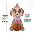 thumbnail image 2 of Skye gonflable d'Halloween Paw Patrol avec Jack-O'-Lantern, 2 of 3