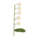 thumbnail image 1 of Valley Crochet Forever Flowers+Birthday Gift+Home Gift+Graduation Gift+Beautiful Flowers, 1 of 6