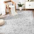 thumbnail image 1 of RUGKING Vintage Floral Area Rug 4x6 Grey Multi Flodable Floral Print Distressed Non Slip Indoor Rug for Living Room Bathroom Kitchen Bedroom, 1 of 6