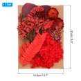 thumbnail image 2 of Unique Bargains Natural Dried Flowers Multiple Colorful Real Dried Pressed Flowers Plant Red Style, 2 of 5