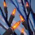 thumbnail image 3 of Orange Mini Lights - 50 Count, 3 of 4