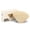 B, variant on Bdday Conical Coffee Filter Optimization Thickened Fan Filter Coffee Filter Paper Wood Pulp Making American/Hand/Machine Coffee Filter Bag