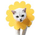 thumbnail image 1 of Collier de Récupération pour Animal en Forme de Tournesol Collier Protecteur pour Animal Collier pour Chaton, 1 of 8