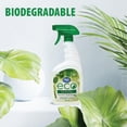 thumbnail image 2 of Great Value Eco Citrus Grove All Purpose Cleaner, Natural Cleaner, Spray, Citrus Scent, 946ml, 2 of 4